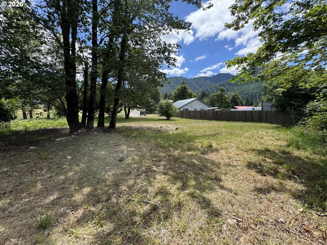 Photo of 48471 ROARING RAPIDS WAY