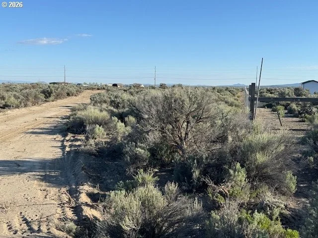 Photo of Unit 3000 at Bark Loop
