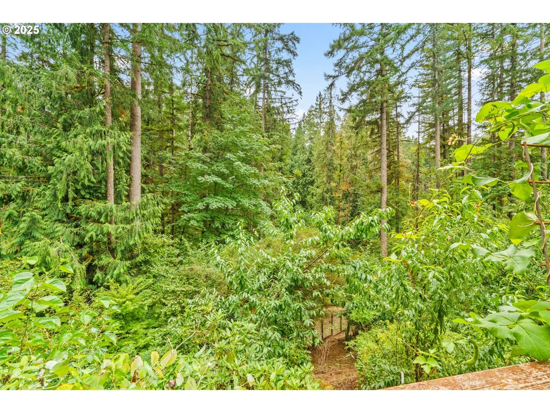 Photo of 40153 BOOTH KELLY RD