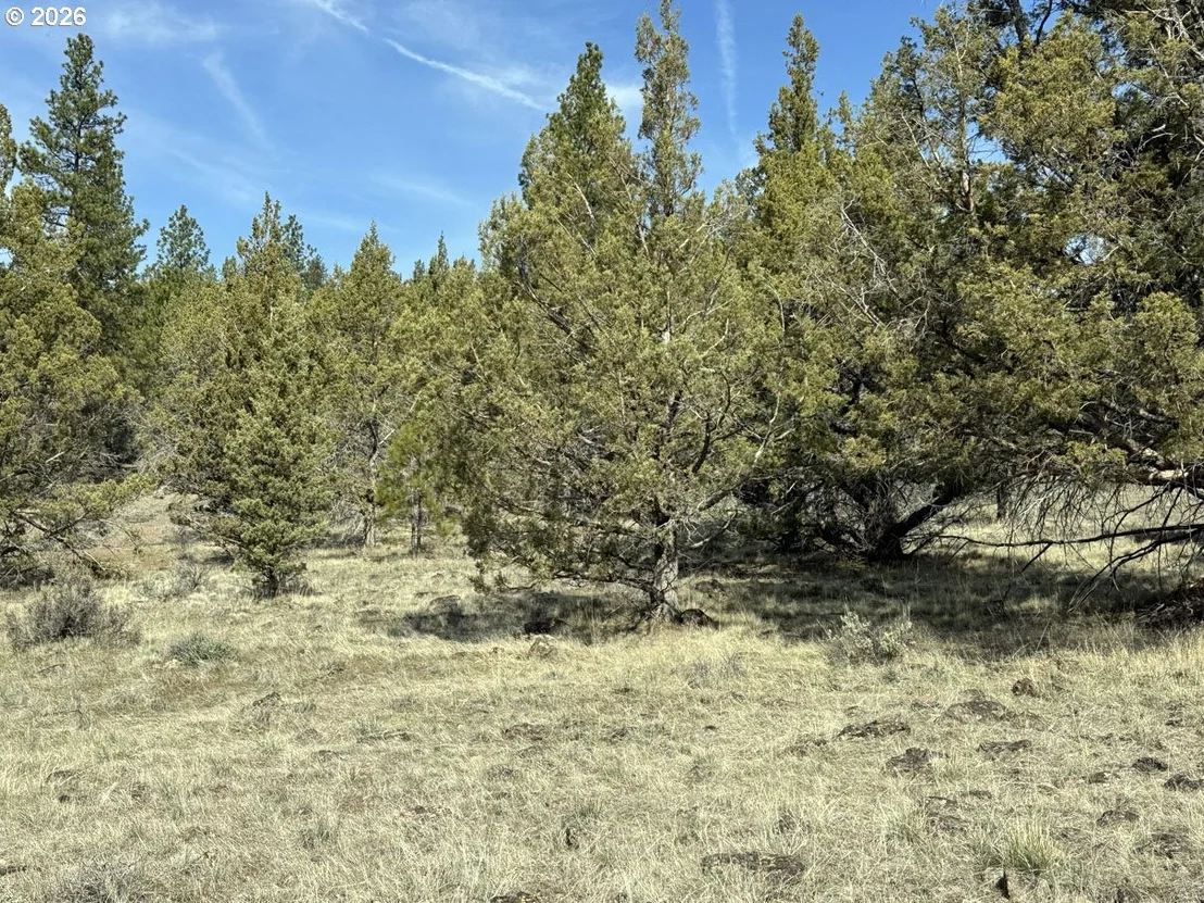 Photo of Unit 1100 at Yellow Jacket Spring RD