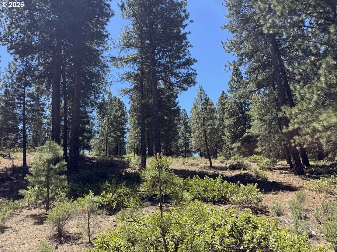 Photo of Unit 22 at Incline DR