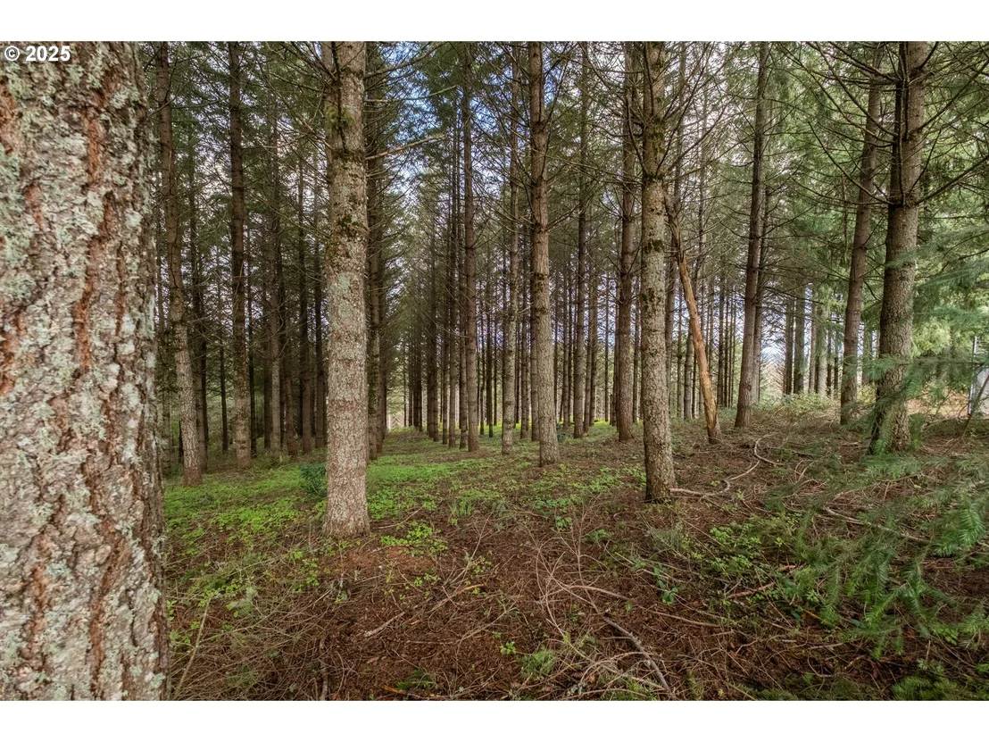 Photo of 92884 APPLEGATE
