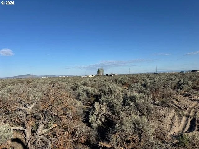 Photo of Unit 3000 at Bark Loop