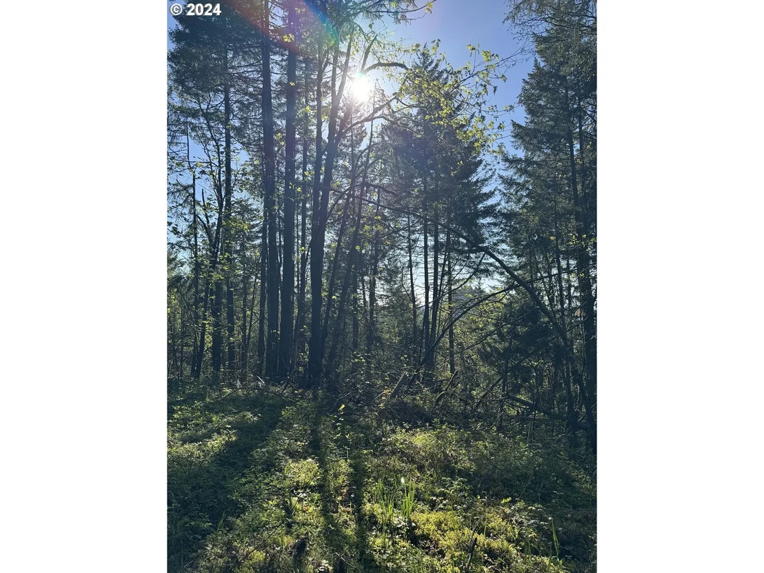 Photo of S 73rd AVE