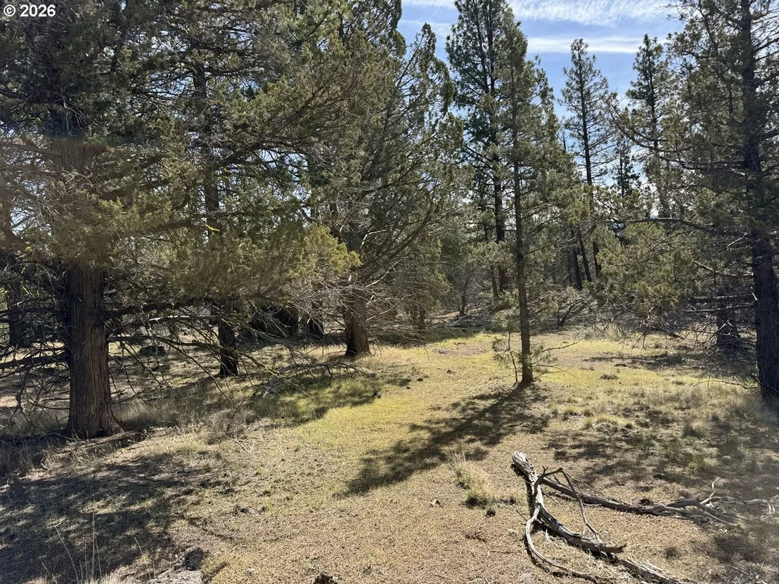 Photo of Unit 1100 at Yellow Jacket Spring RD