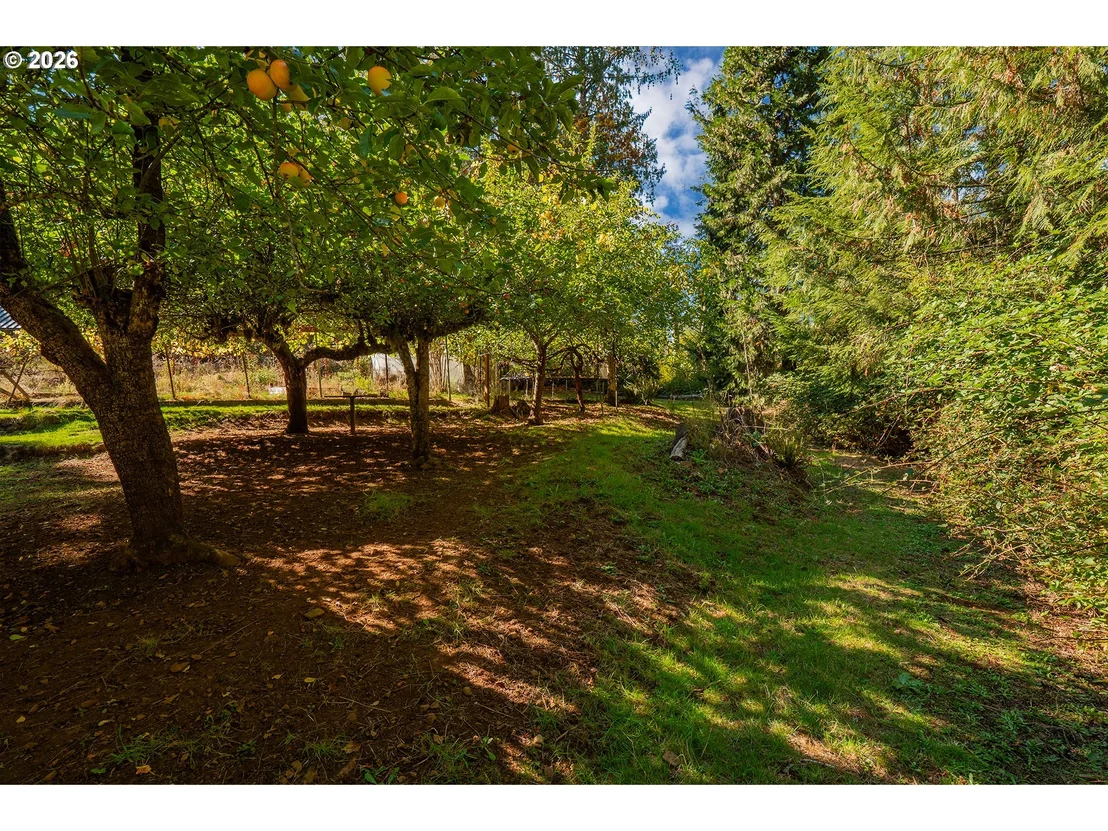 Photo of 36690 PARSONS CREEK RD