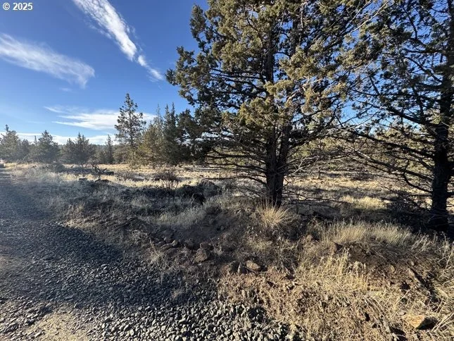 Photo of Unit 5 at Canvasback DR
