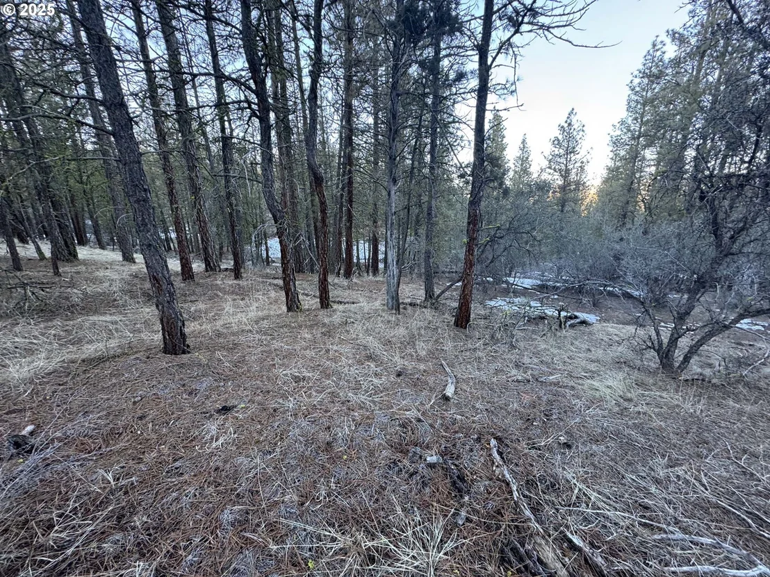 Photo of Unit LOT7 at Bobcat CIR