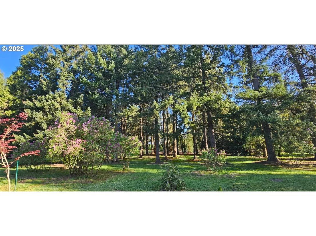 Photo of 93579 RIVER RD