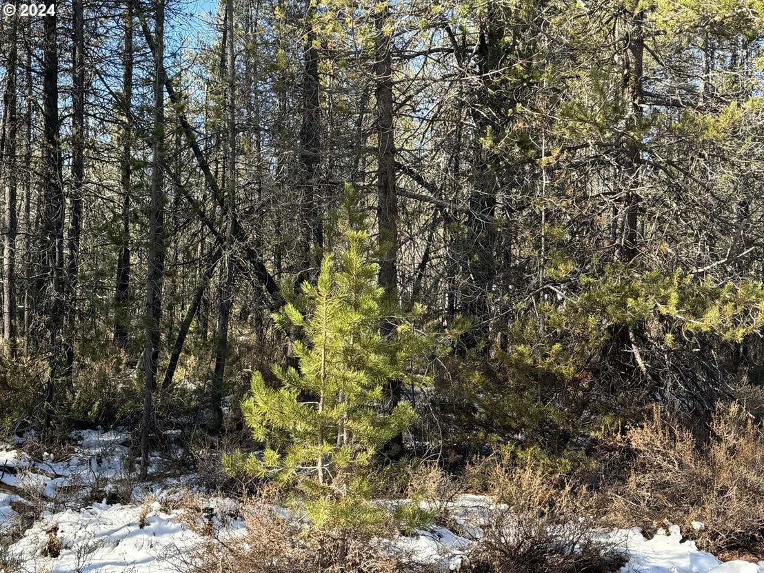 Photo of Unit LOT14 at Cloudcap DR