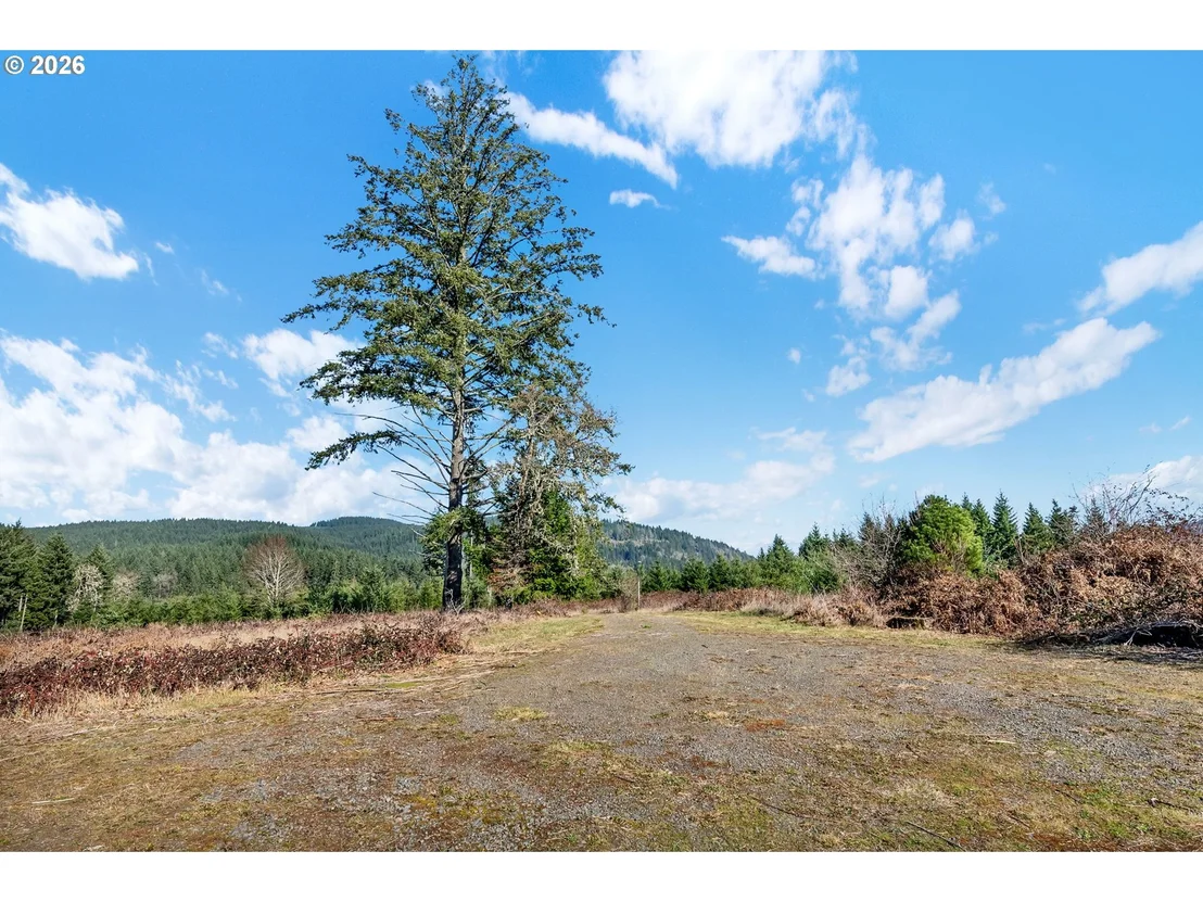 Photo of 88901 MCKENZIE ACRES DR