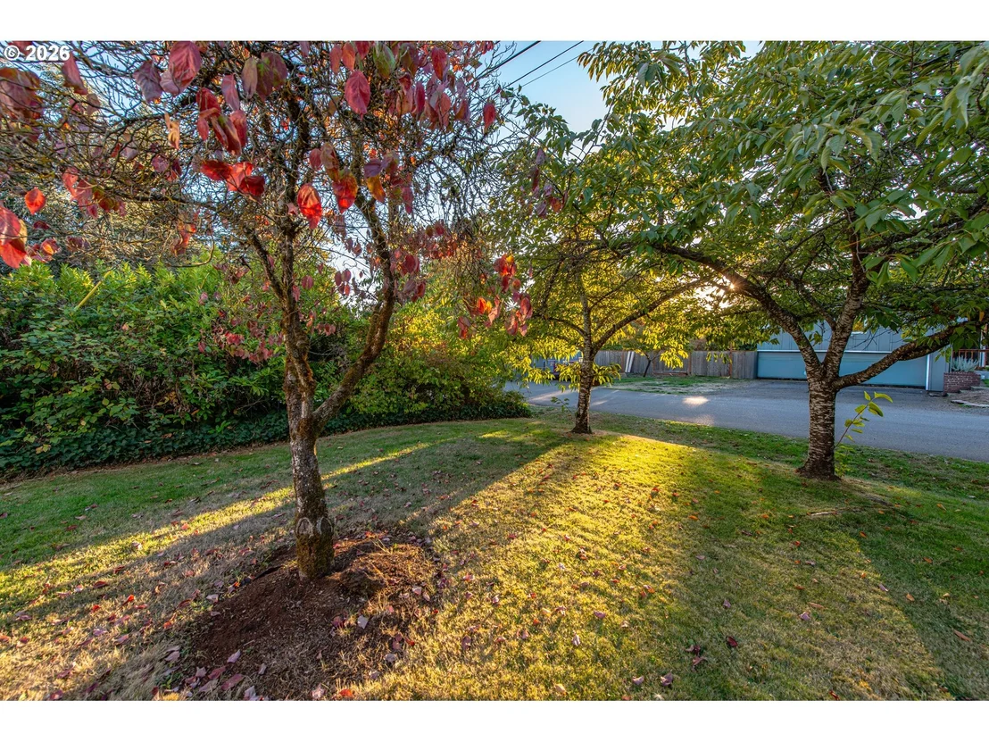 Photo of 953 FORRESTER WAY