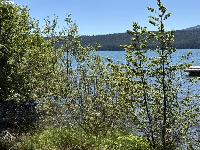 Photo of 22862 HIGHWAY 58