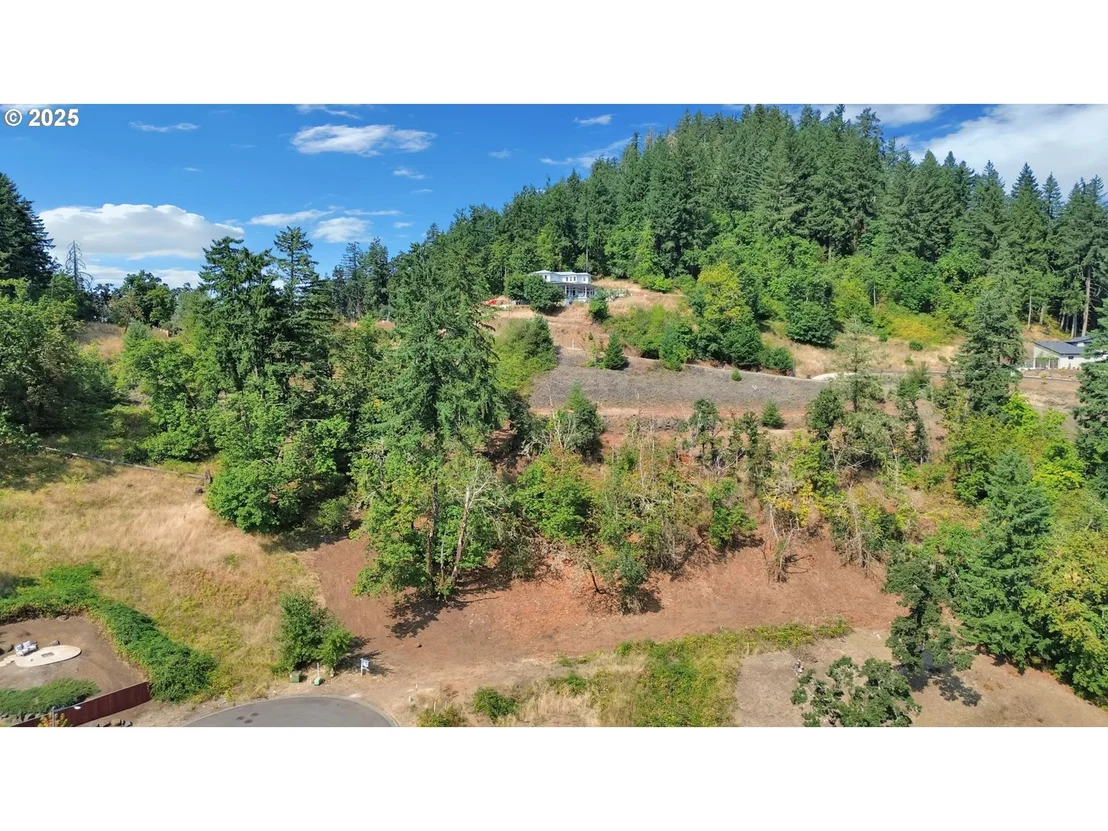 Photo of Forest Ridge Dr