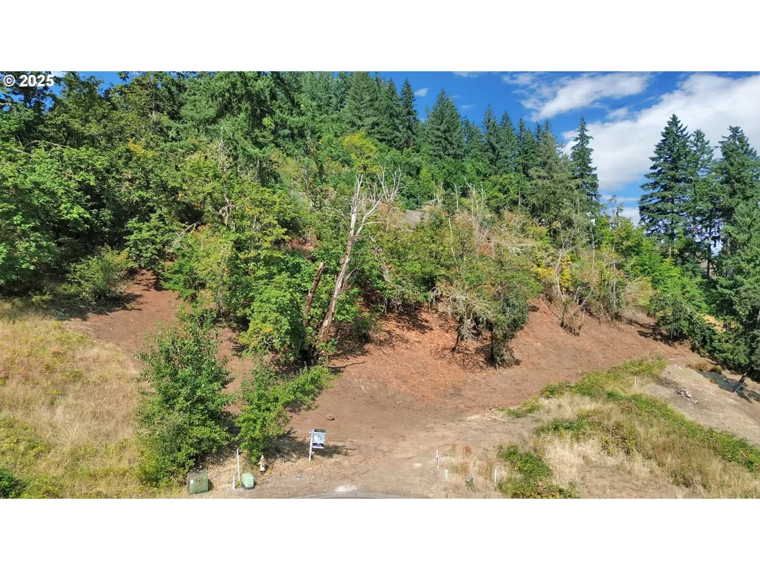 Photo of Forest Ridge