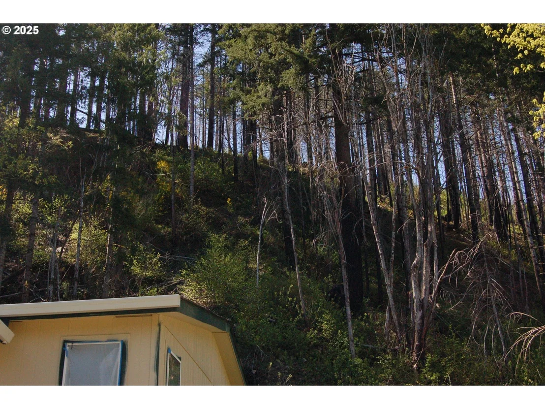 Photo of 49545 MCKENZIE HWY