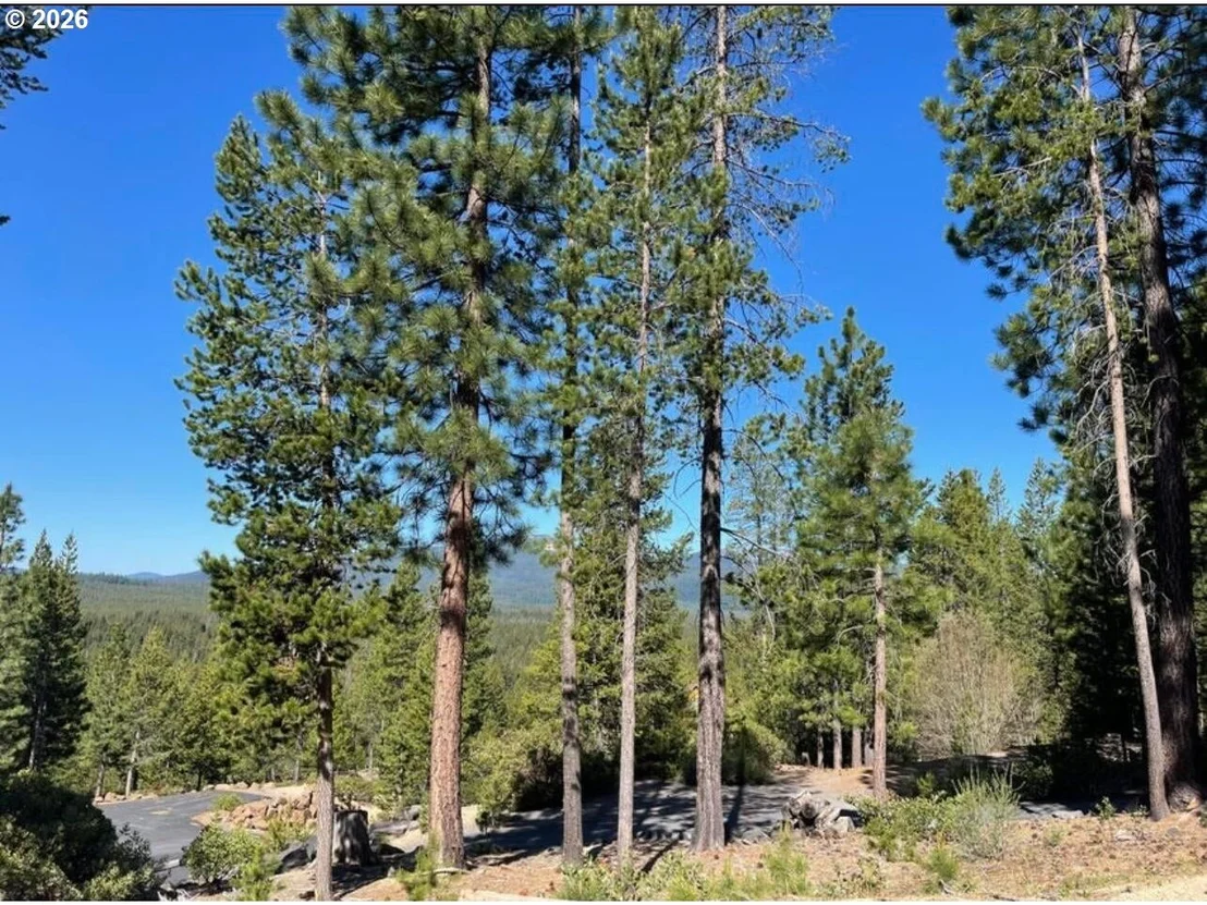 Photo of 18915 ALPINE BREEZE WAY