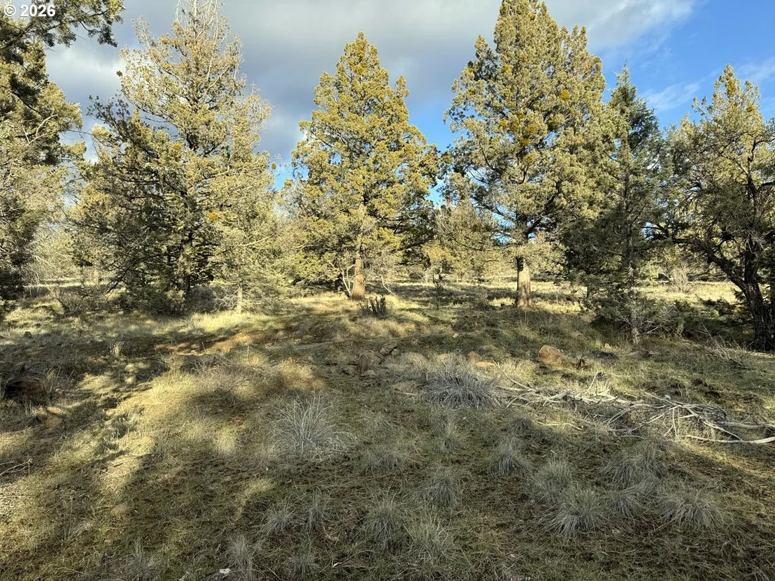 Photo of Unit 35 at Canvasback DR