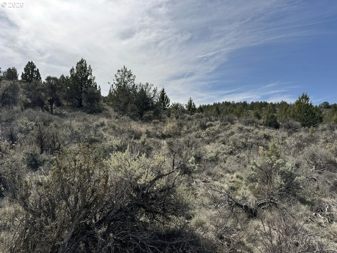 Photo of Unit 900 at Off HWY 140
