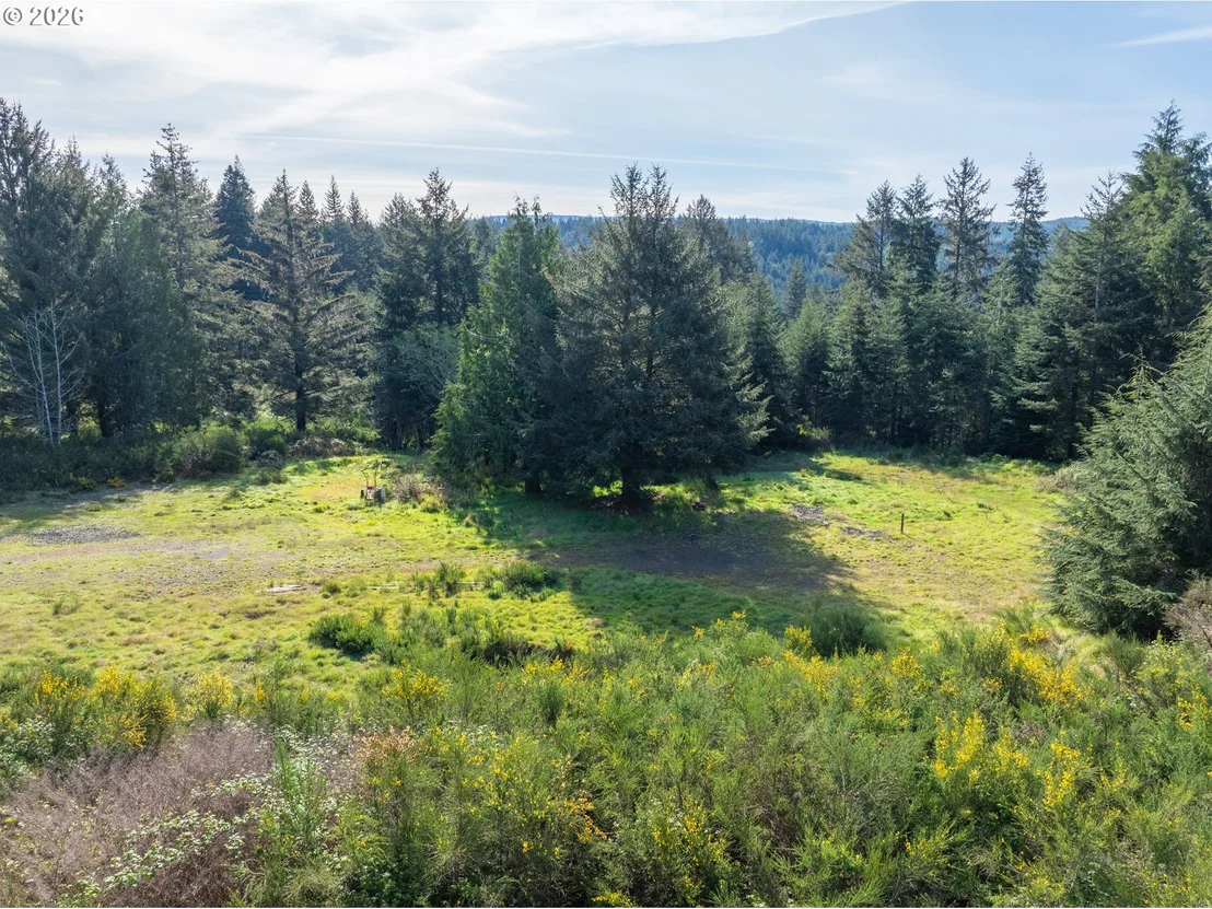 Photo of 62361 OLIVE BARBER RD