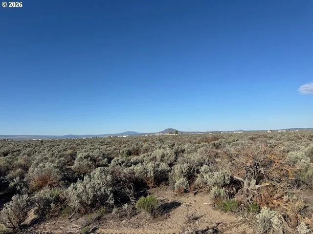 Photo of Unit 3000 at Bark Loop
