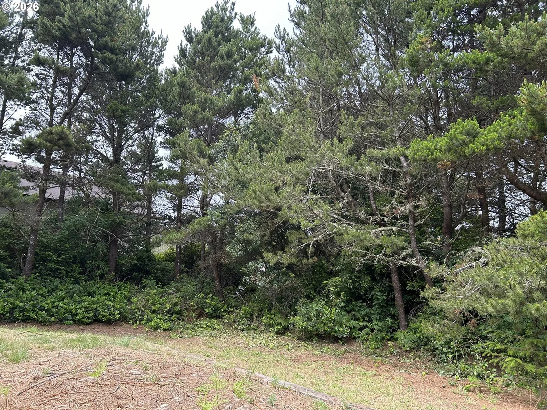 Photo of 88282 ELMONT DR