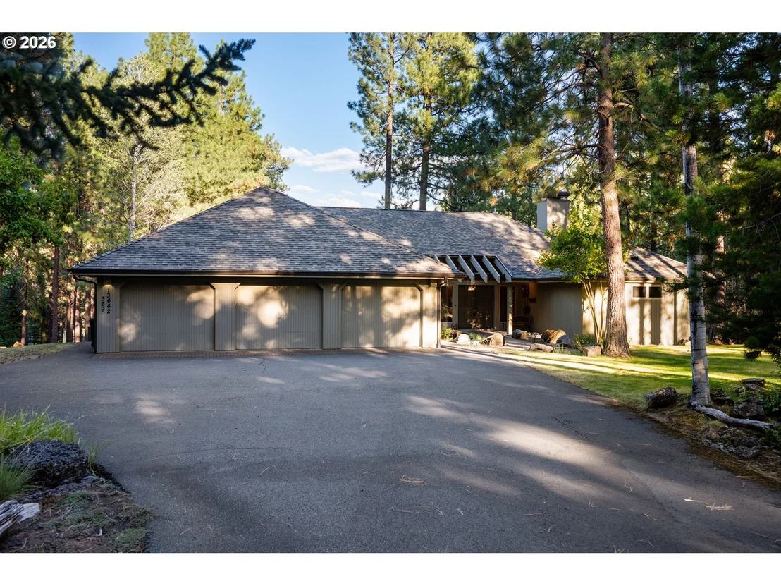 Photo of 13442 Galium