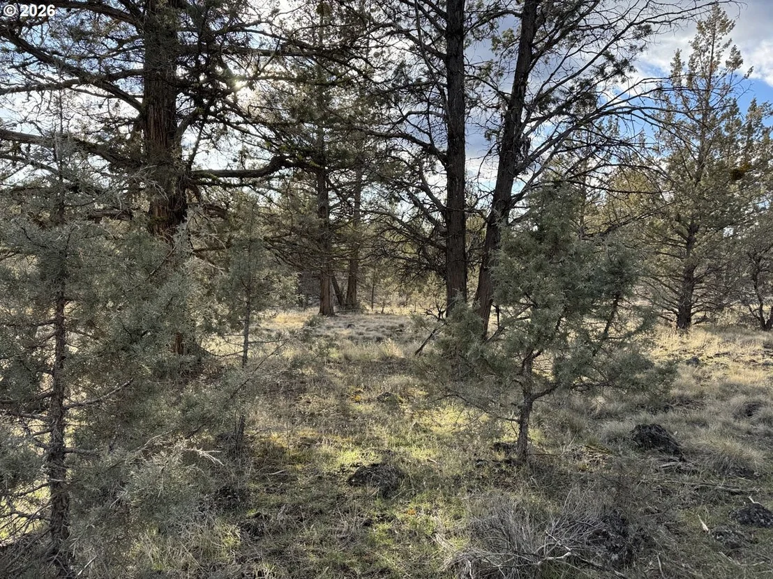 Photo of Unit 36 at Canvasback DR