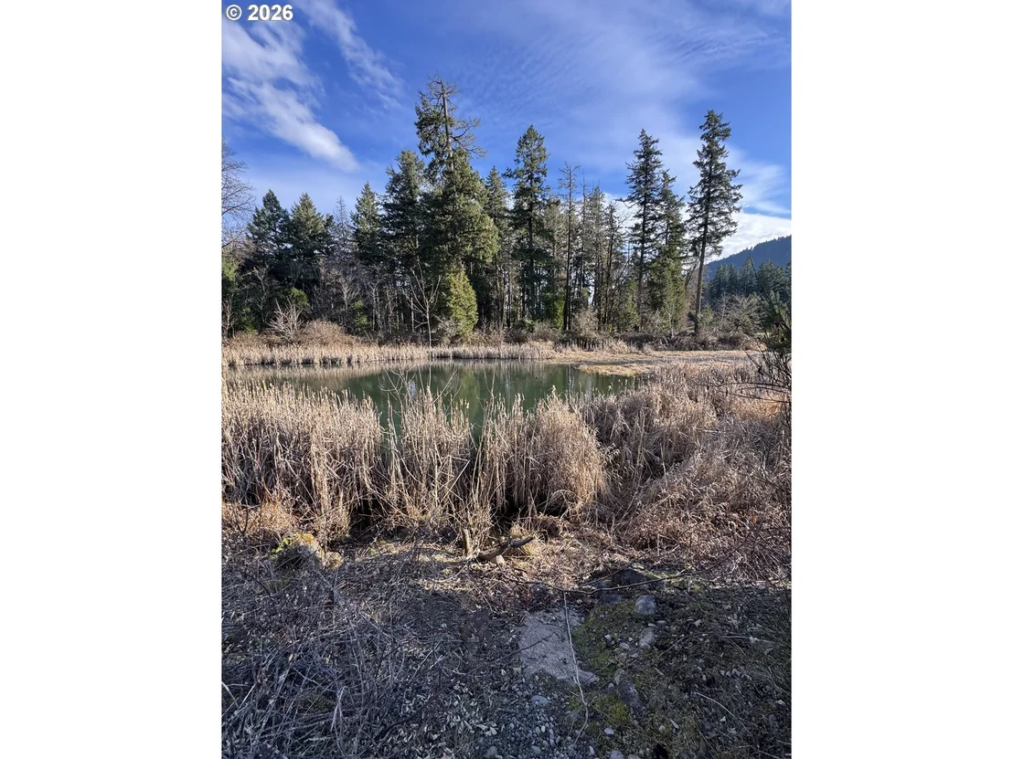 Photo of 48448 ROARING RAPIDS WAY
