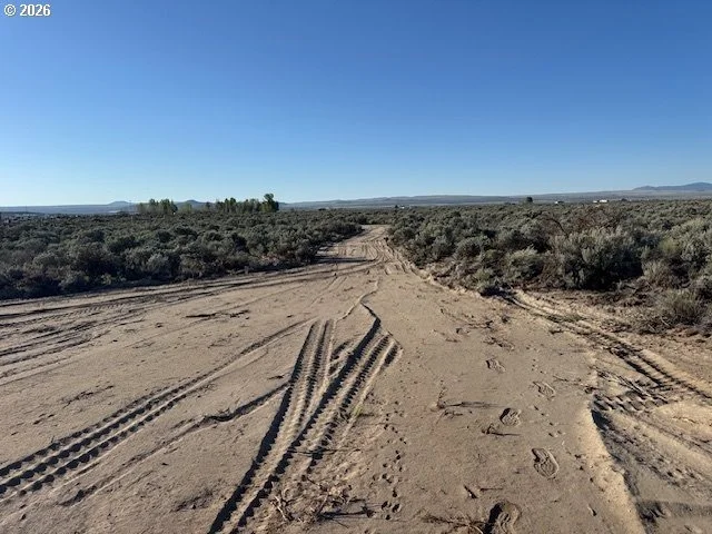 Photo of Unit 3000 at Bark Loop