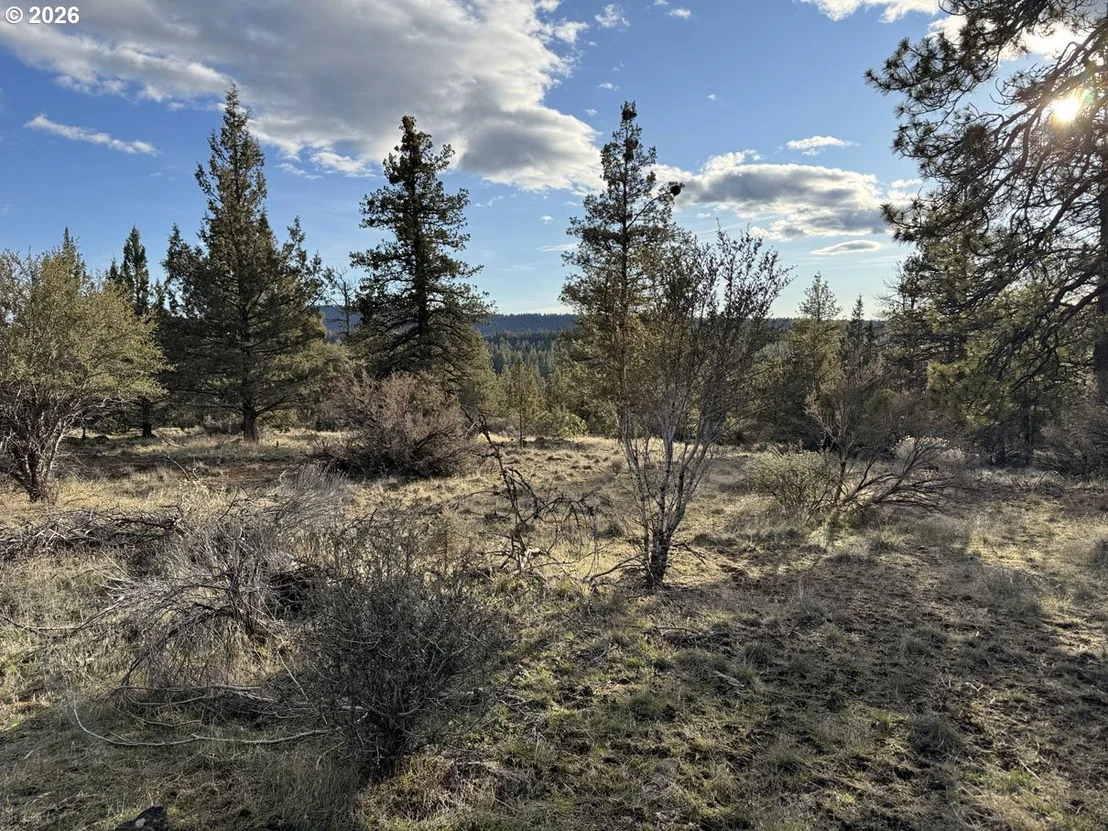 Photo of Unit 36 at Canvasback DR