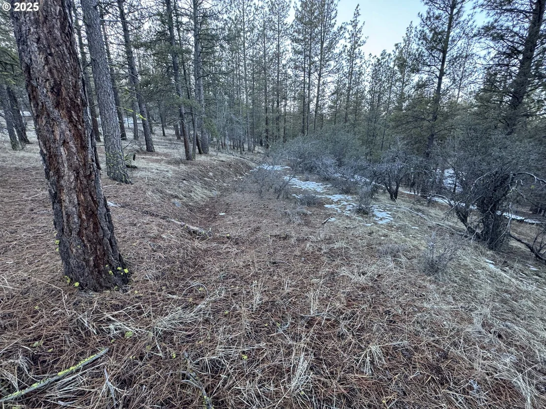 Photo of Unit LOT7 at Bobcat CIR