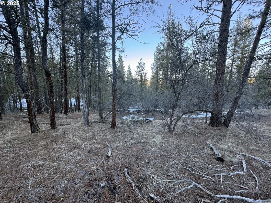 Photo of Unit LOT7 at Bobcat CIR