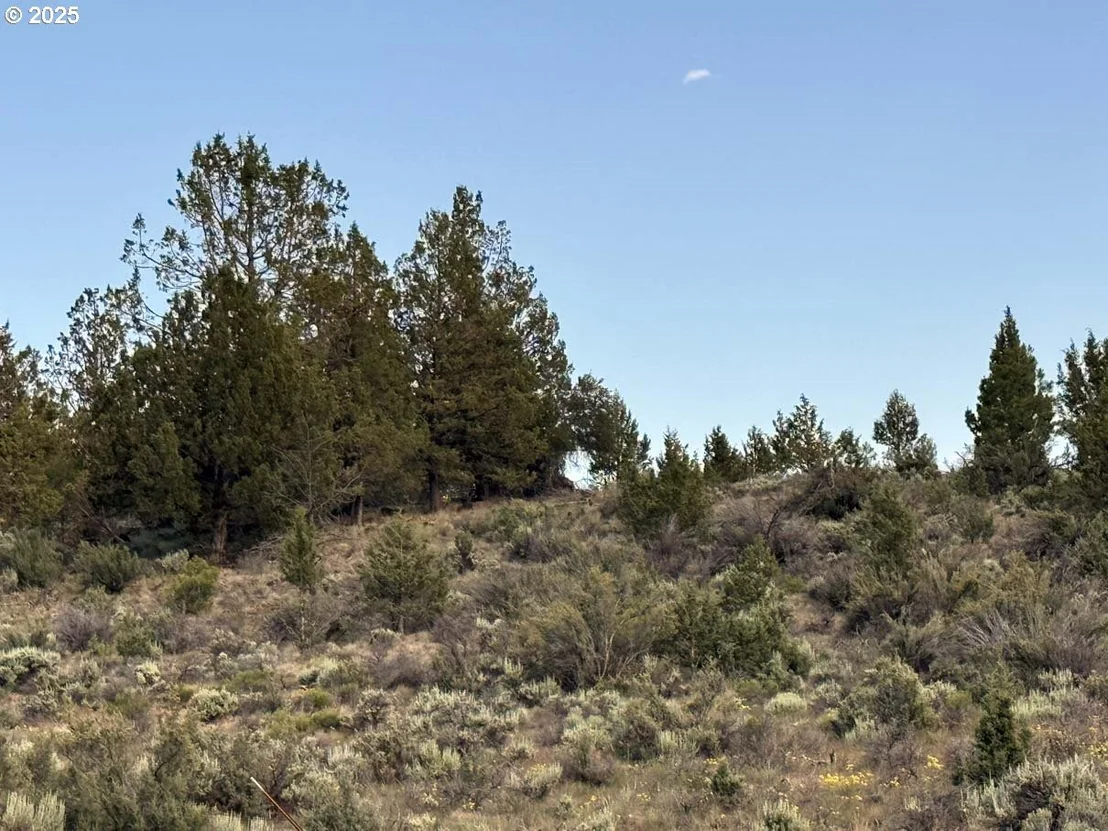 Photo of Unit 300 at HWY 140
