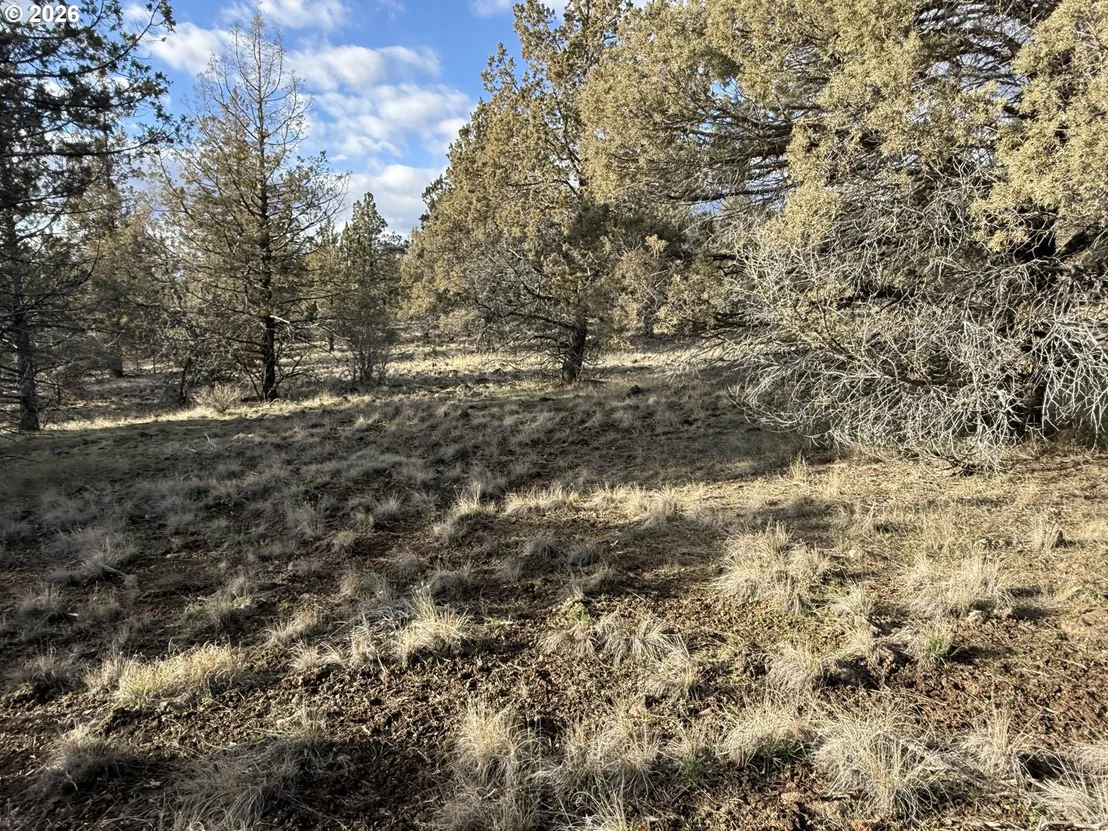 Photo of Unit 35 at Canvasback DR