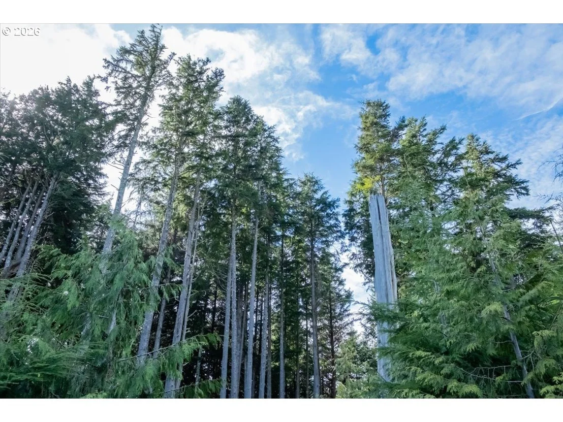 Photo of 575 Fairway DR