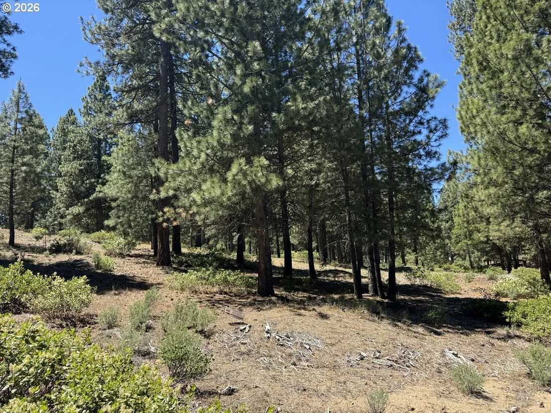 Photo of Unit 22 at Incline DR