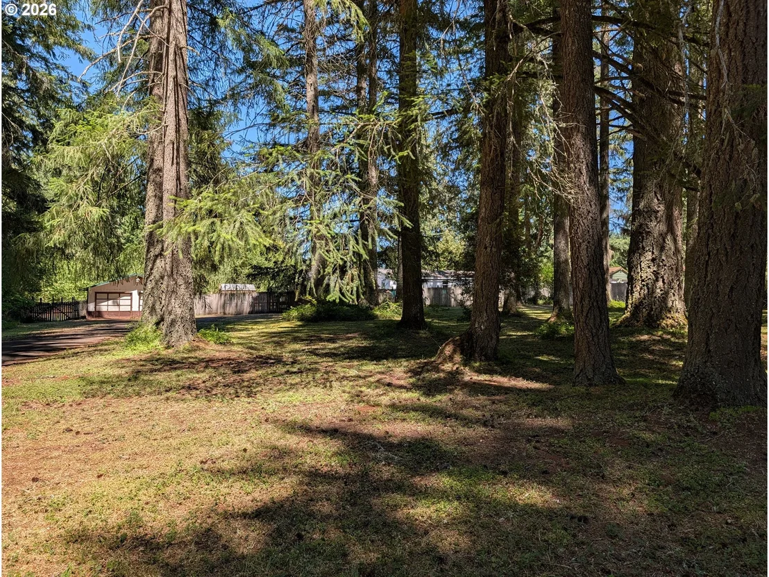 Photo of 49241 MOUNTAIN VIEW RD