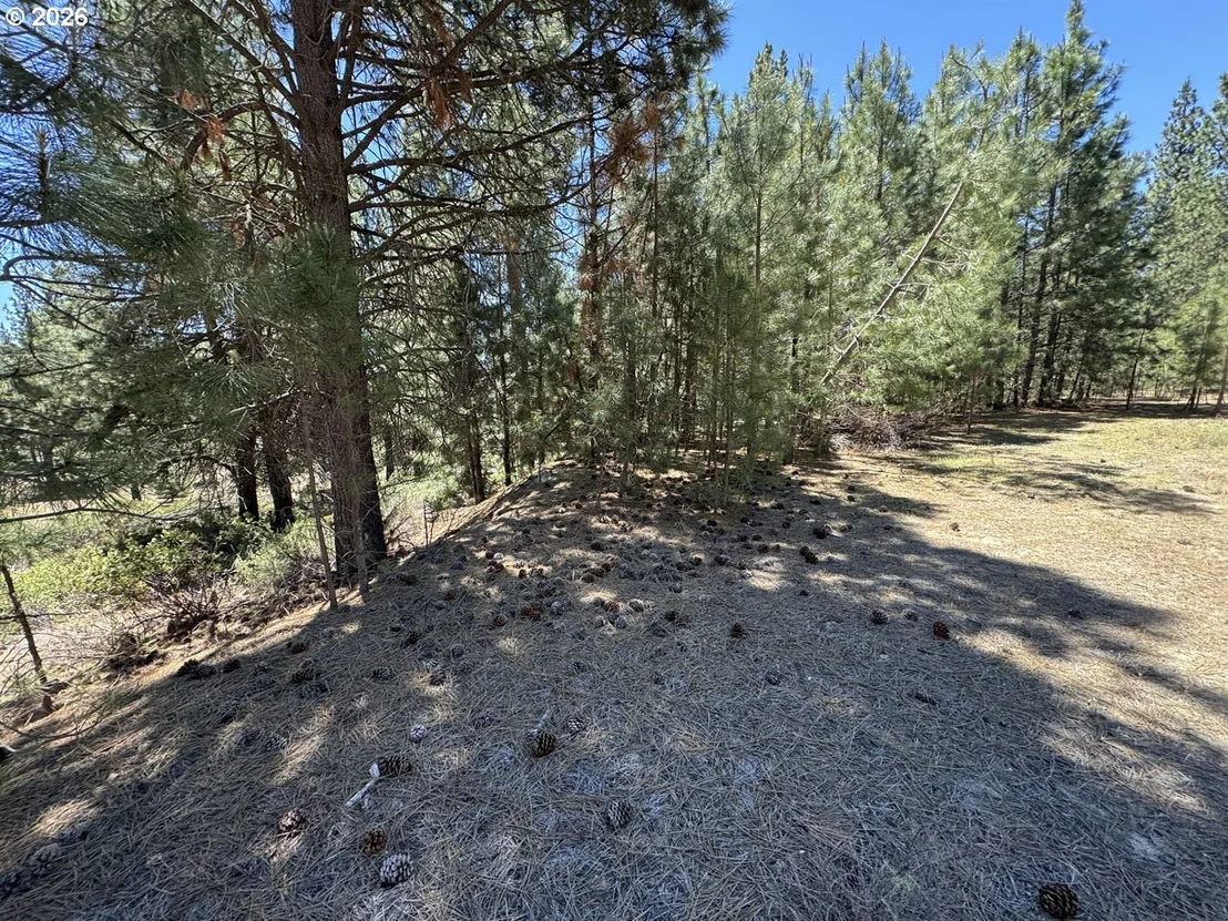 Photo of Unit 12 at Friendship DR