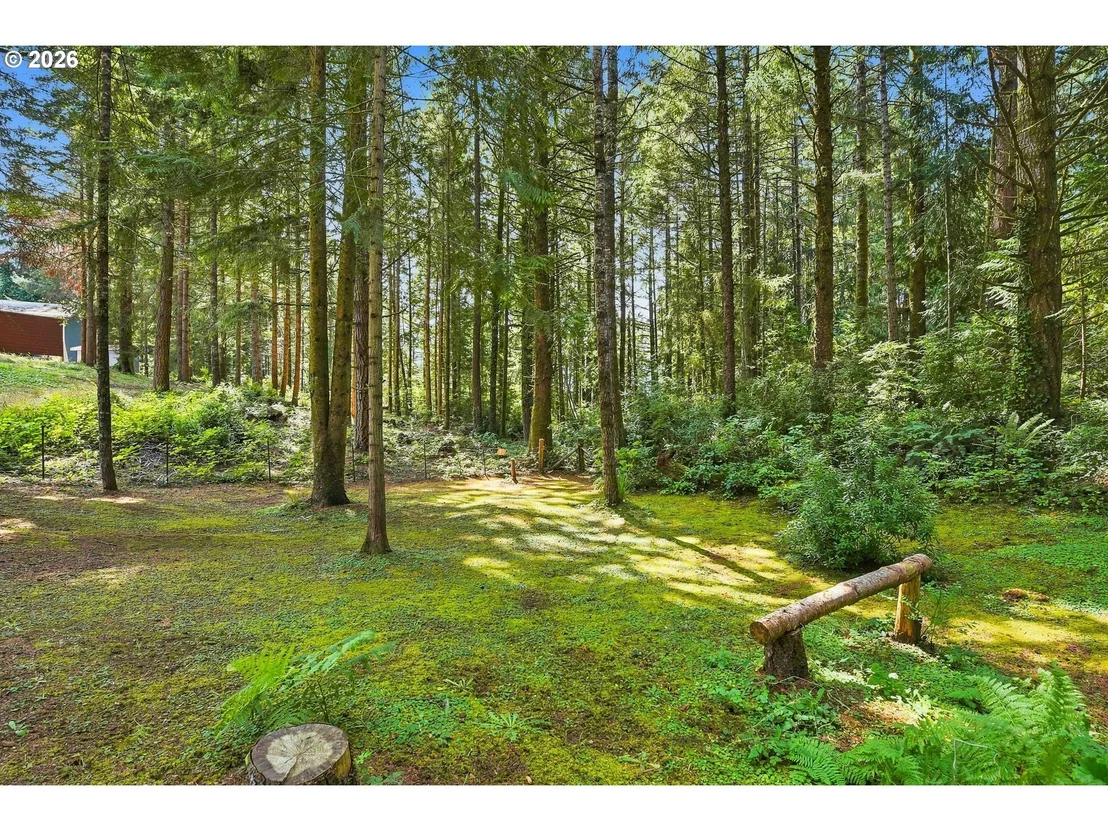 Photo of 69686 MCFARLAND RD