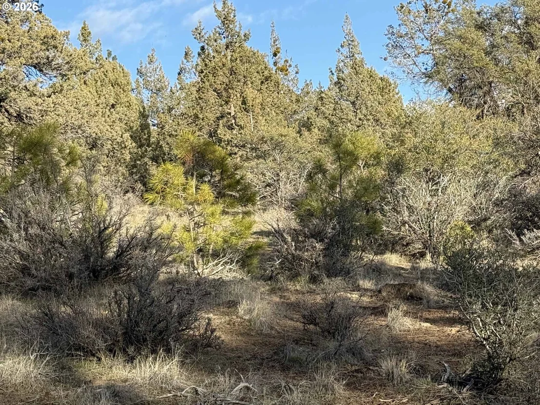 Photo of Unit 35 at Canvasback DR