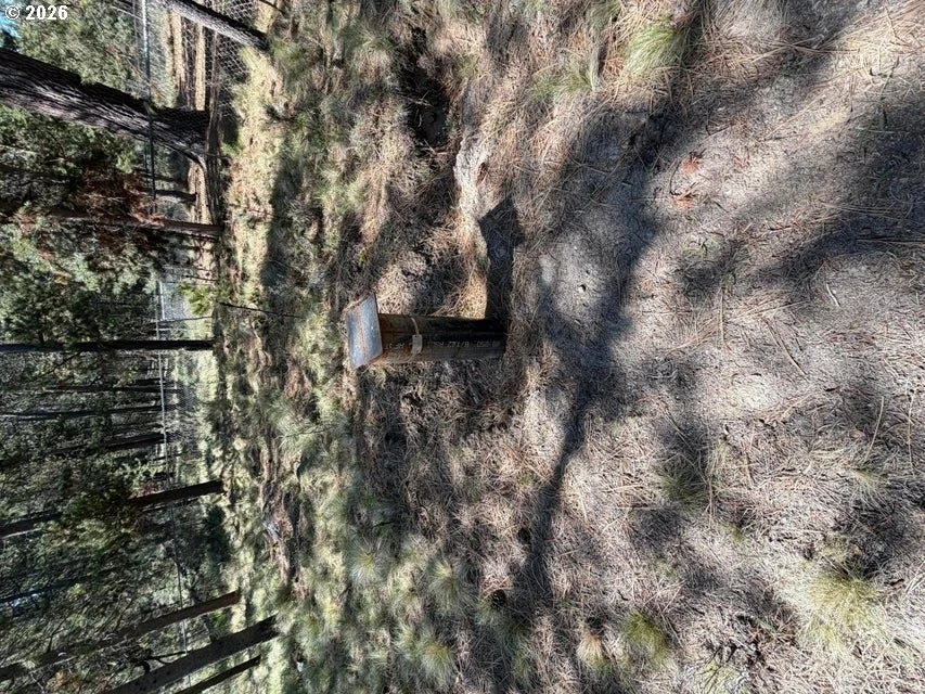 Photo of 17019 UPLAND RD