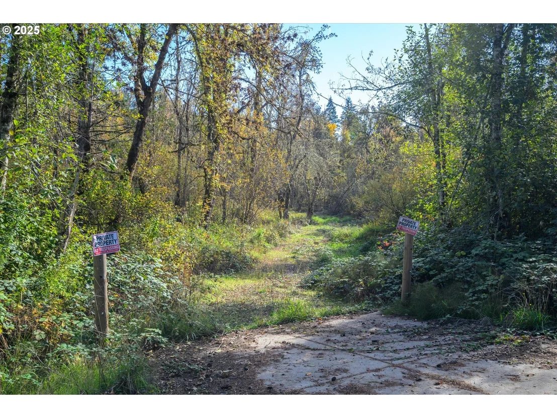 Photo of Siuslaw River RD