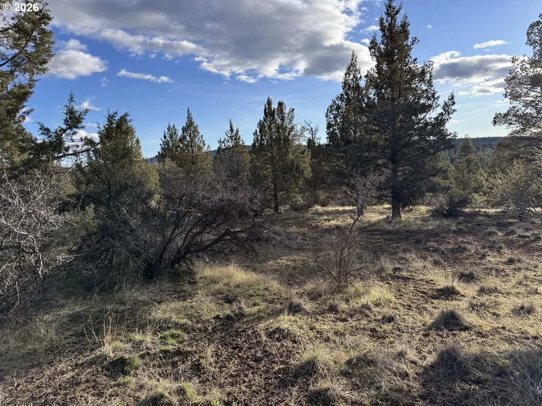 Photo of Unit 36 at Canvasback DR