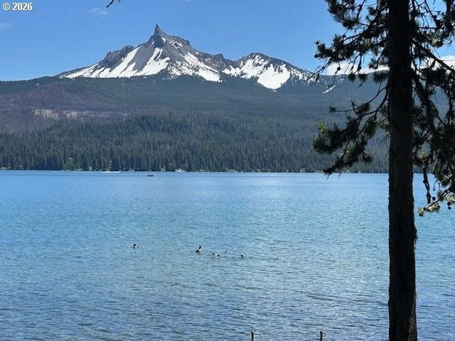 Photo of 80 DIAMOND LAKE LOOP
