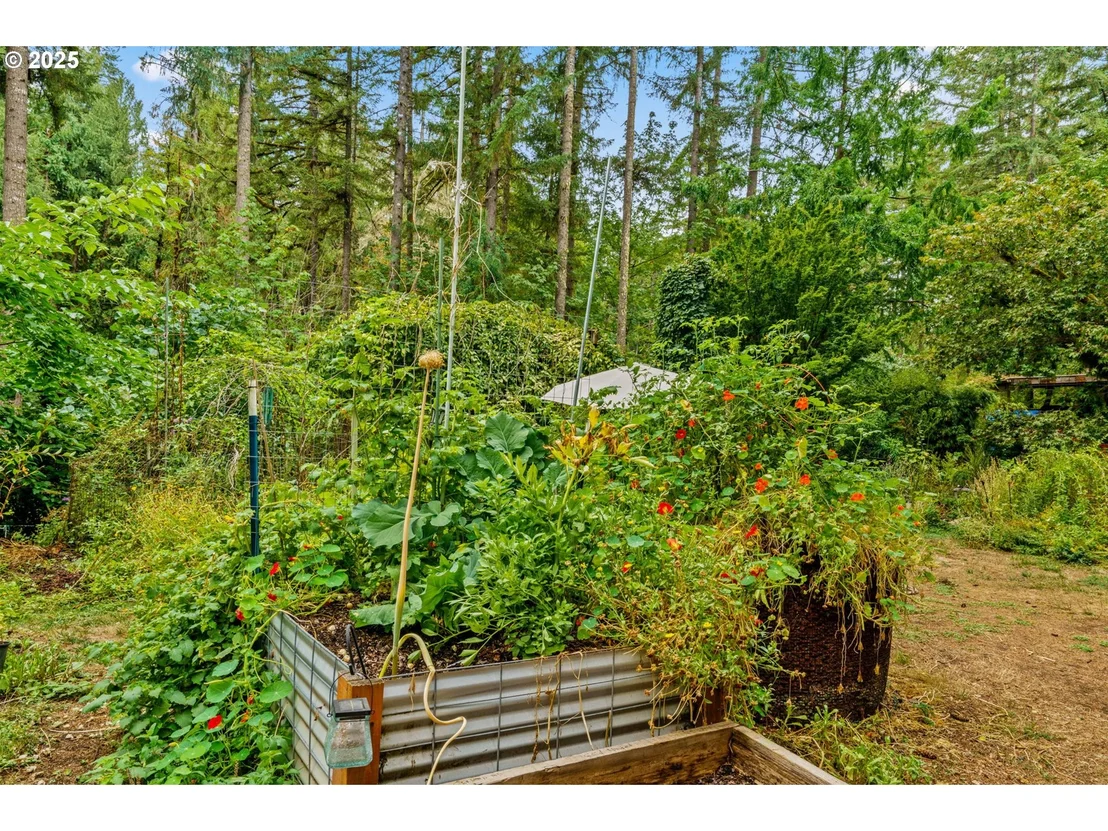 Photo of 40153 BOOTH KELLY RD