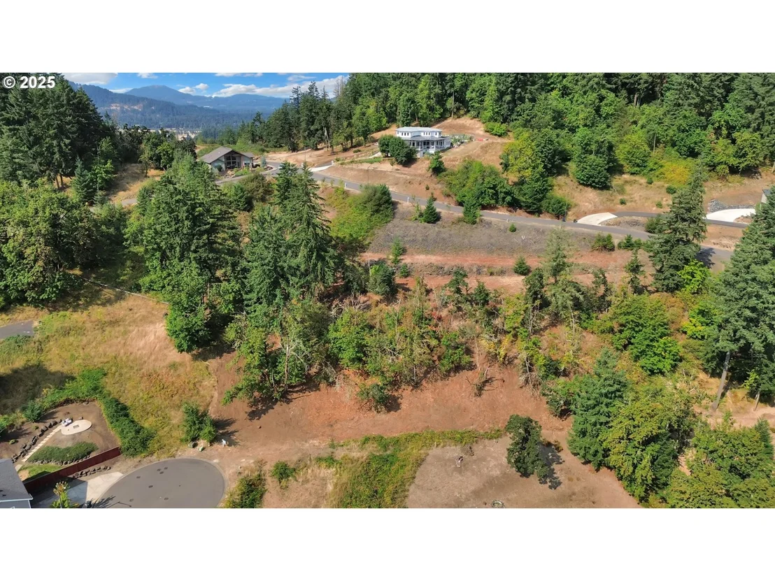 Photo of Forest Ridge Dr