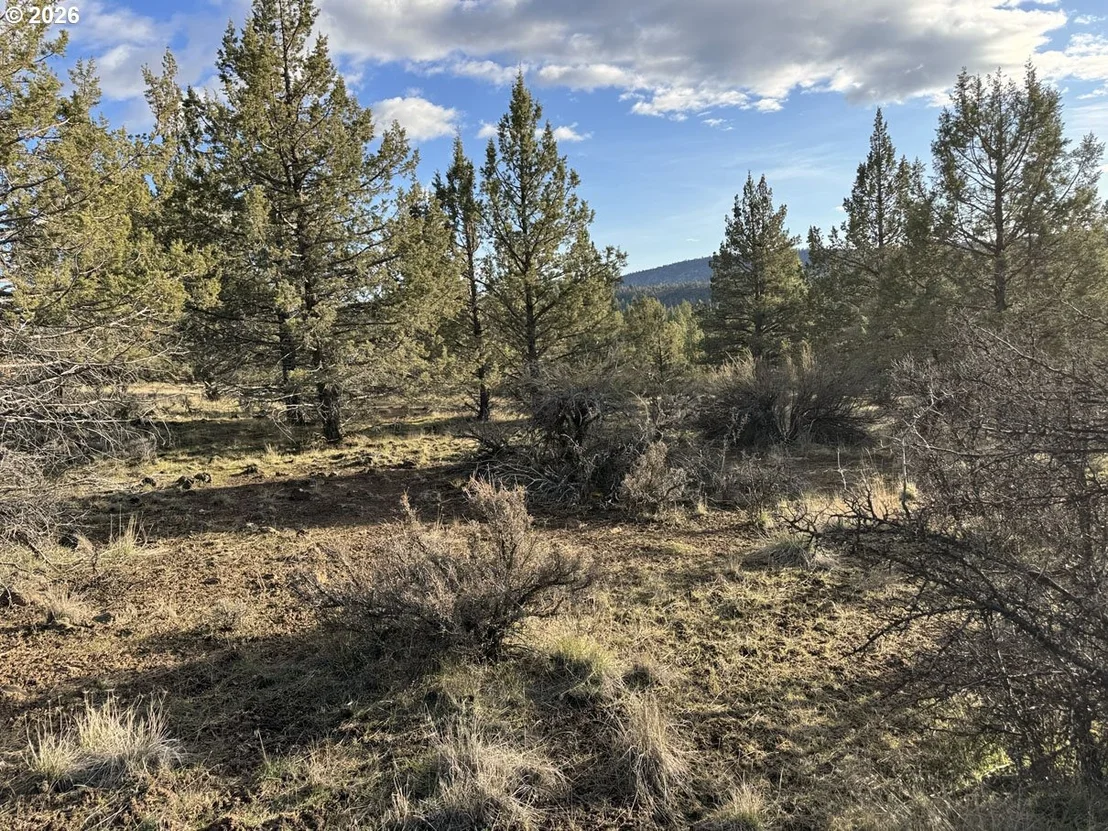 Photo of Unit 36 at Canvasback DR