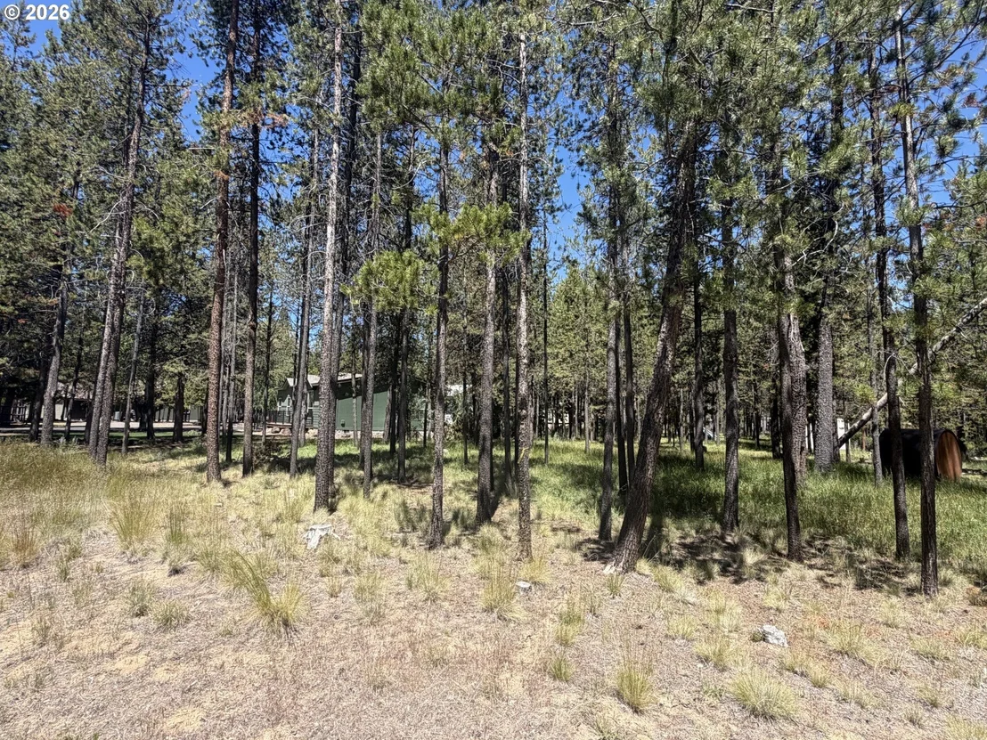 Photo of 17386 GOLDEN EYE DR