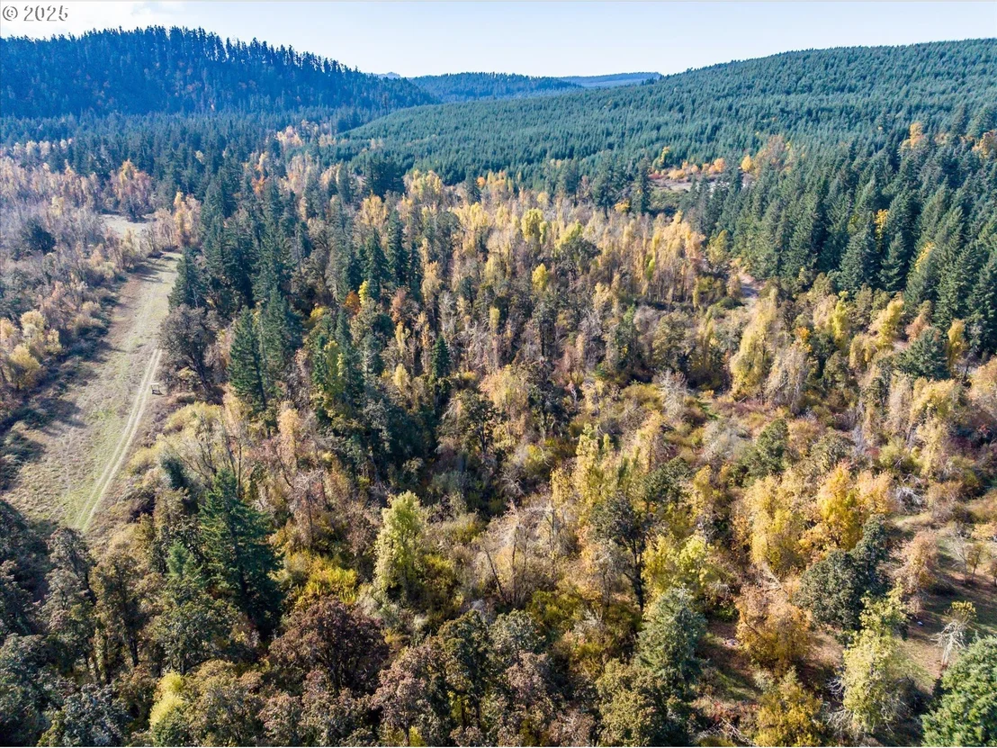 Photo of Siuslaw River RD